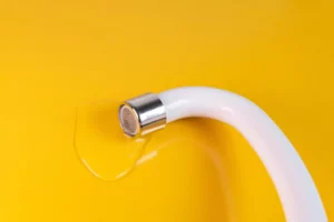 10 Gründe für einen Installateur Notdienst in Troisdorf